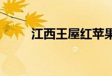 江西王屋红苹果幼儿园的地址在哪