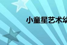 小童星艺术幼儿园的地址在哪