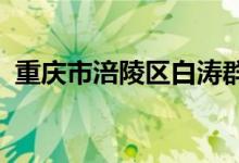重庆市涪陵区白涛群体兴幼儿园的地址在哪