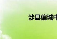 涉县偏城中学的地址在哪