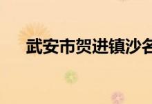 武安市贺进镇沙名中兴小学的地址在哪