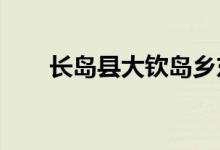 长岛县大钦岛乡东村小学的地址在哪