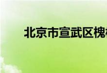 北京市宣武区槐柏幼儿园的地址在哪