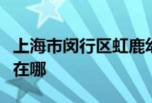 上海市闵行区虹鹿幼儿园（井亭分园）的地址在哪