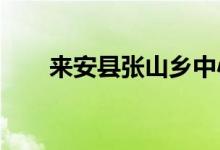 来安县张山乡中心幼儿园的地址在哪