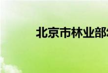 北京市林业部幼儿园的地址在哪