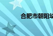 合肥市朝阳幼儿园的地址在哪