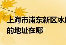 上海市浦东新区冰厂田幼儿园（梅园综合部）的地址在哪
