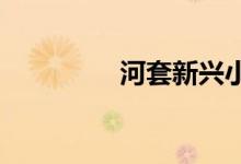河套新兴小学的地址在哪