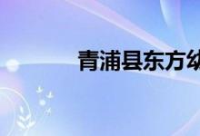 青浦县东方幼儿园的地址在哪
