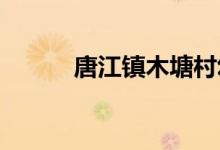 唐江镇木塘村幼儿园的地址在哪