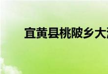 宜黄县桃陂乡大港幼儿园的地址在哪
