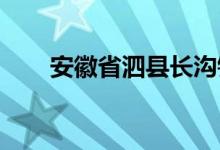 安徽省泗县长沟镇幼儿园的地址在哪