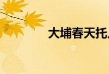 大埔春天托儿所的地址在哪