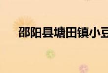 邵阳县塘田镇小豆豆幼儿园的地址在哪