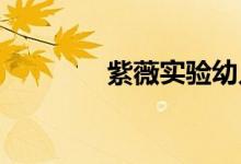 紫薇实验幼儿园的地址在哪