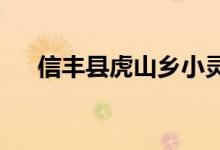 信丰县虎山乡小灵通幼儿园的地址在哪