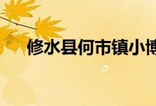 修水县何市镇小博士幼儿园的地址在哪