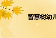 智慧树幼儿园的地址在哪