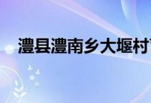 澧县澧南乡大堰村育才幼儿园的地址在哪
