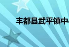 丰都县武平镇中心幼儿园的地址在哪
