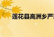 莲花县高洲乡严家幼儿园的地址在哪