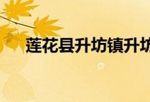 莲花县升坊镇升坊村幼儿园的地址在哪
