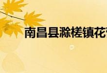 南昌县滁槎镇花蕾幼儿园的地址在哪