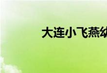 大连小飞燕幼儿园的地址在哪