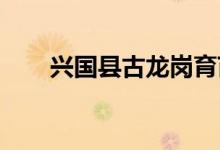 兴国县古龙岗育苗幼儿园的地址在哪
