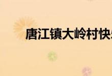 唐江镇大岭村快乐幼儿园的地址在哪