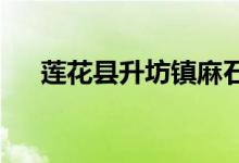 莲花县升坊镇麻石村幼儿园的地址在哪