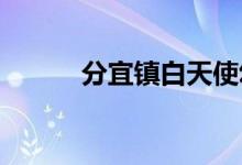 分宜镇白天使幼儿园的地址在哪