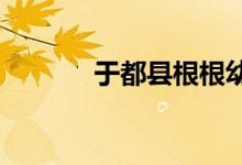 于都县根根幼儿园的地址在哪