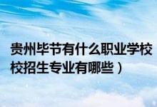 贵州毕节有什么职业学校（2022贵州省毕节彝文双语职业学校招生专业有哪些）