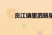 贡江镇里泗丽星幼儿园的地址在哪