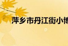 萍乡市丹江街小博士幼儿园的地址在哪