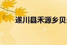 遂川县禾源乡贝乐幼儿园的地址在哪