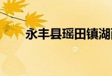 永丰县瑶田镇湖西幼儿园的地址在哪