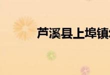 芦溪县上埠镇幼儿园的地址在哪