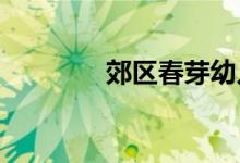 郊区春芽幼儿园的地址在哪