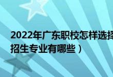 2022年广东职校怎样选择专业（2022雷山县中等职业学校招生专业有哪些）