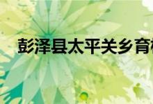彭泽县太平关乡育栋才幼儿园的地址在哪