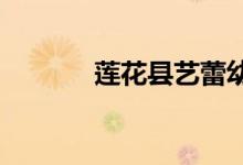莲花县艺蕾幼儿园的地址在哪