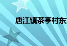 唐江镇茶亭村东东幼儿园的地址在哪