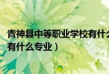 青神县中等职业学校有什么专业（2022剑河县中等职业学校有什么专业）