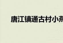 唐江镇通古村小燕子幼儿园的地址在哪