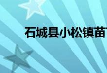 石城县小松镇苗苗幼儿园的地址在哪