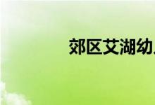 郊区艾湖幼儿园的地址在哪