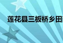 莲花县三板桥乡田南村幼儿园的地址在哪
